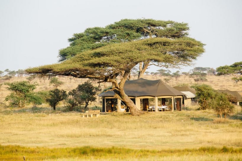 Namiri Plains  Luxury Camp - Gallery Image 1